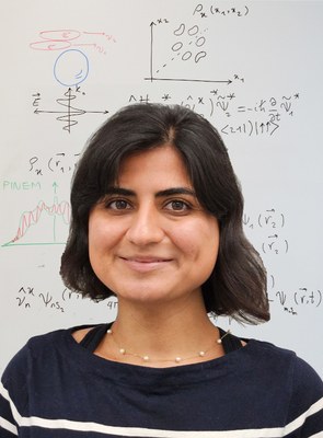 Dr. Fatemeh Chahshouri